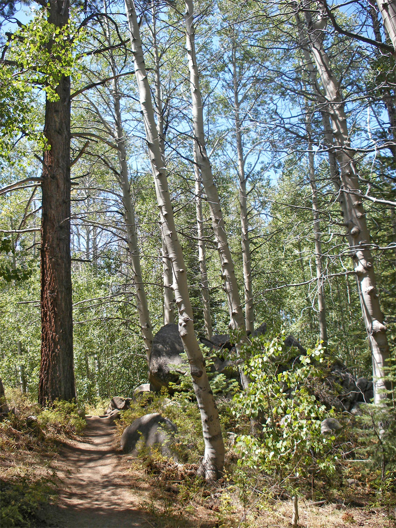 Spooner Lake Trail