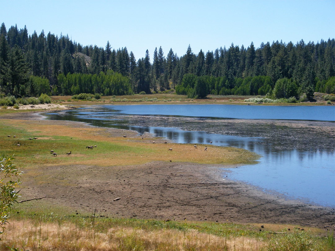 Edge of Spooner Lake