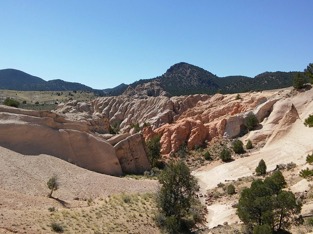 Eroded ravine