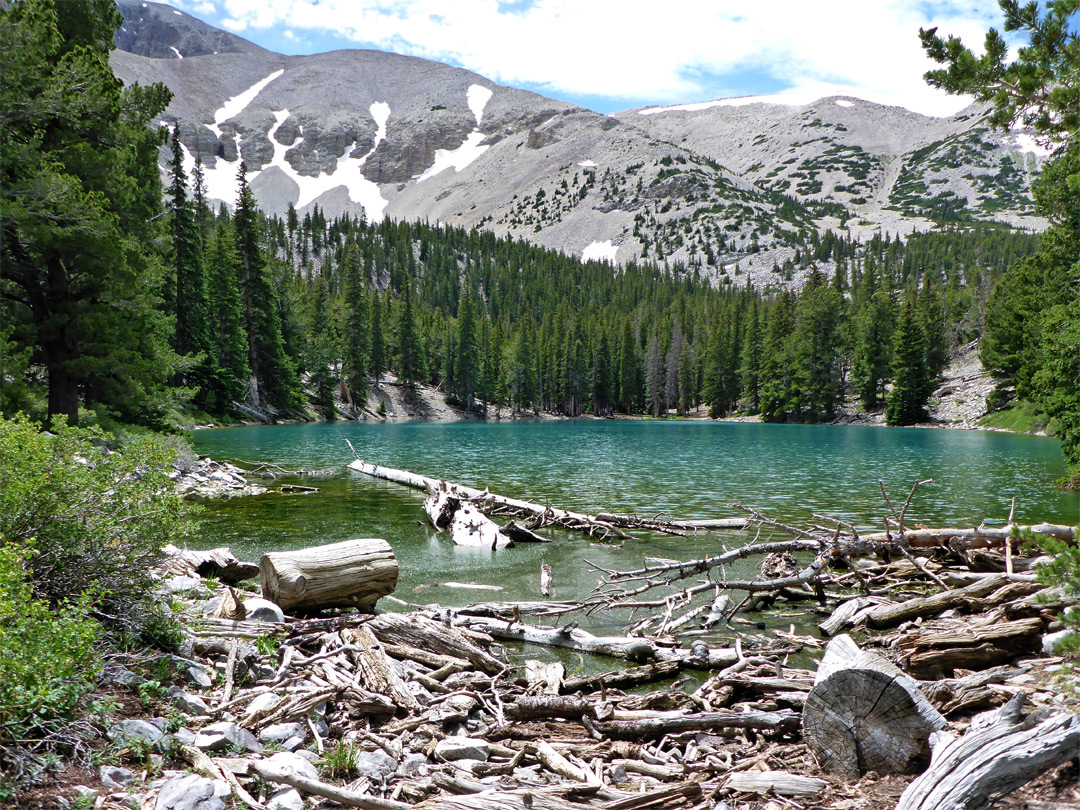 North end of Teresa Lake