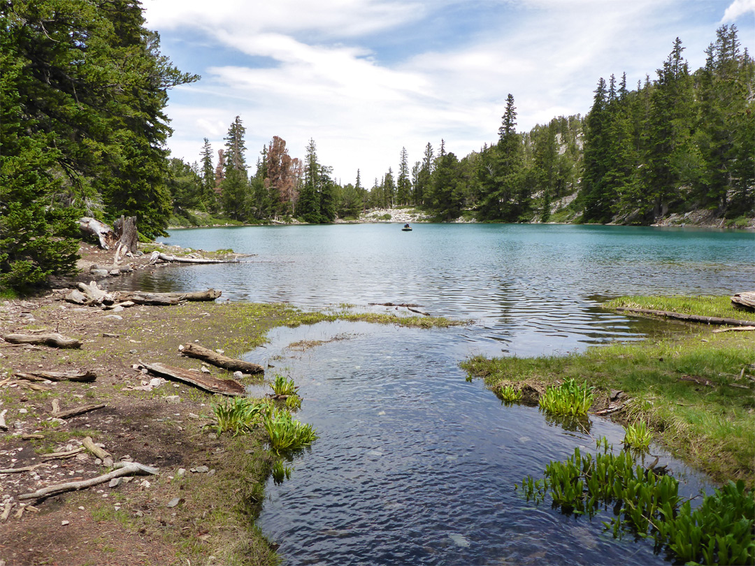 Teresa Lake