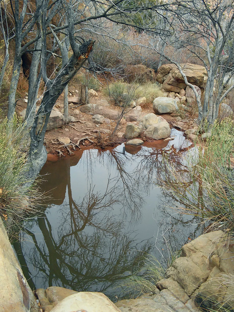 Reflective pool