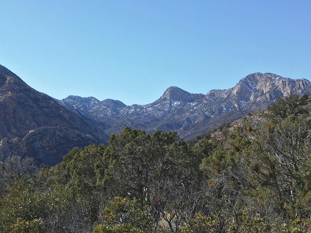 Spring Mountains