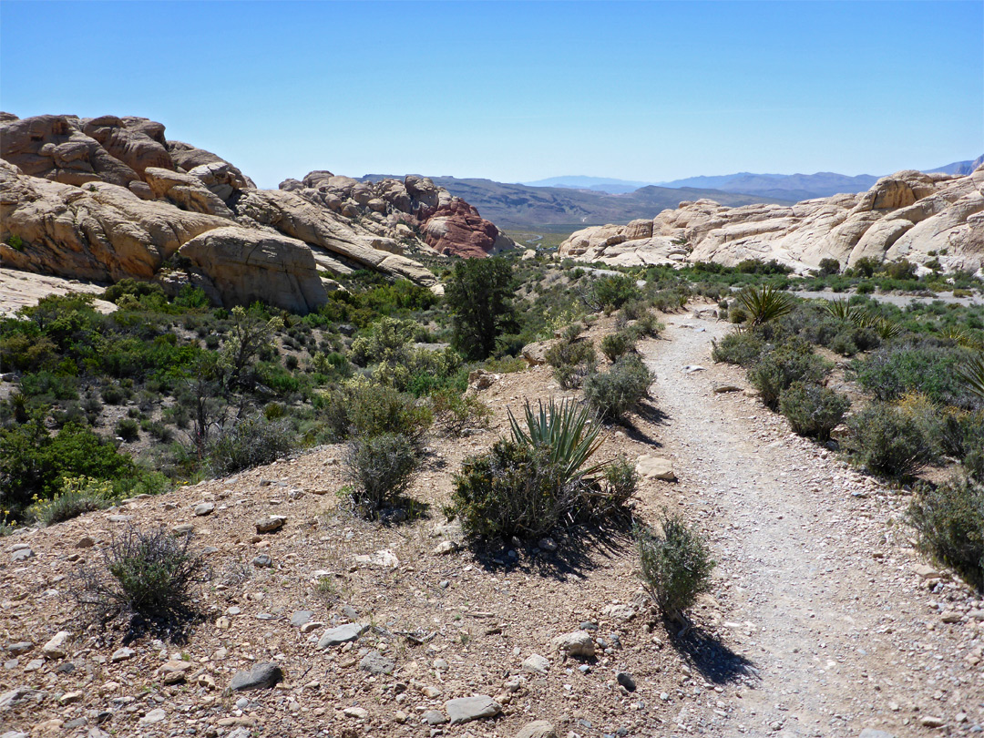 Path along a wash