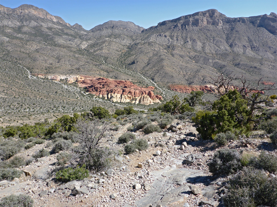 Patch of red rocks