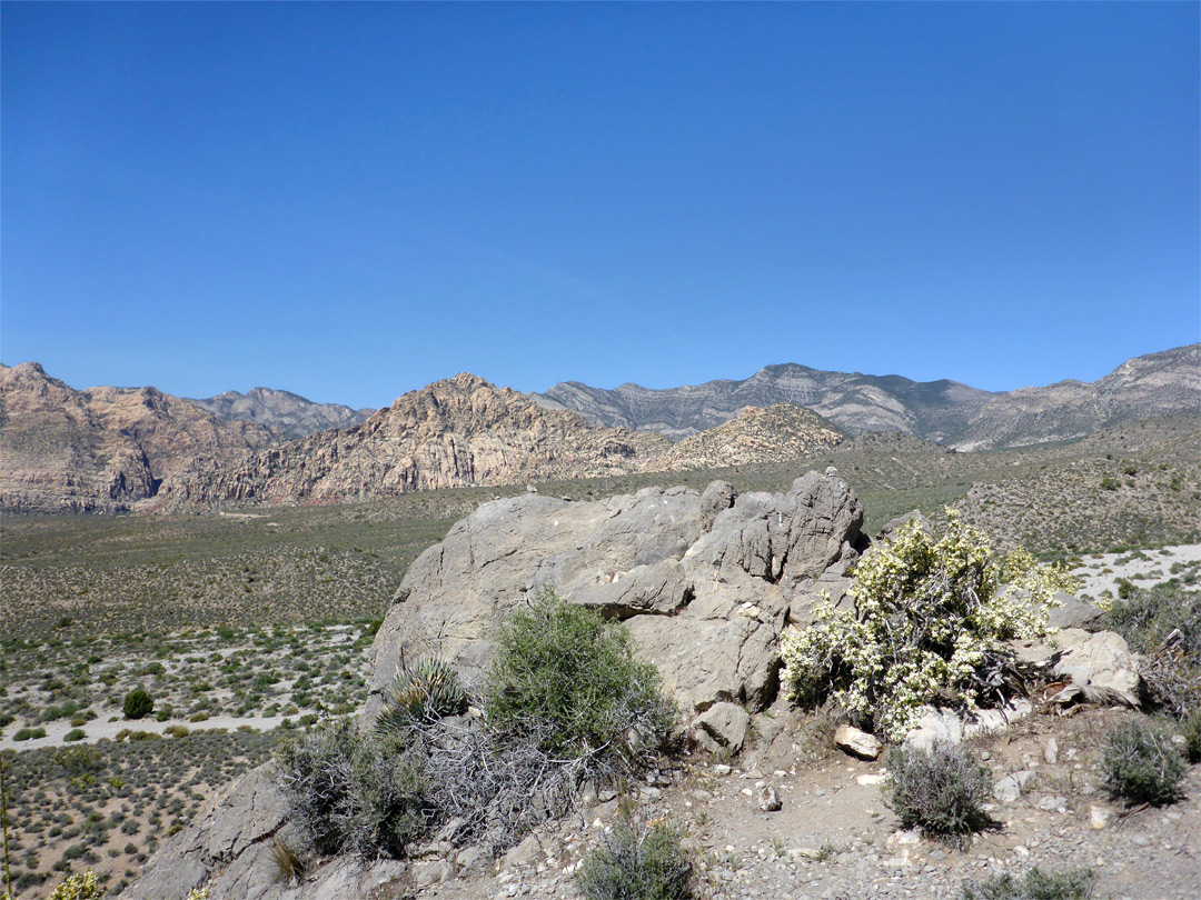 Limestone outcrop