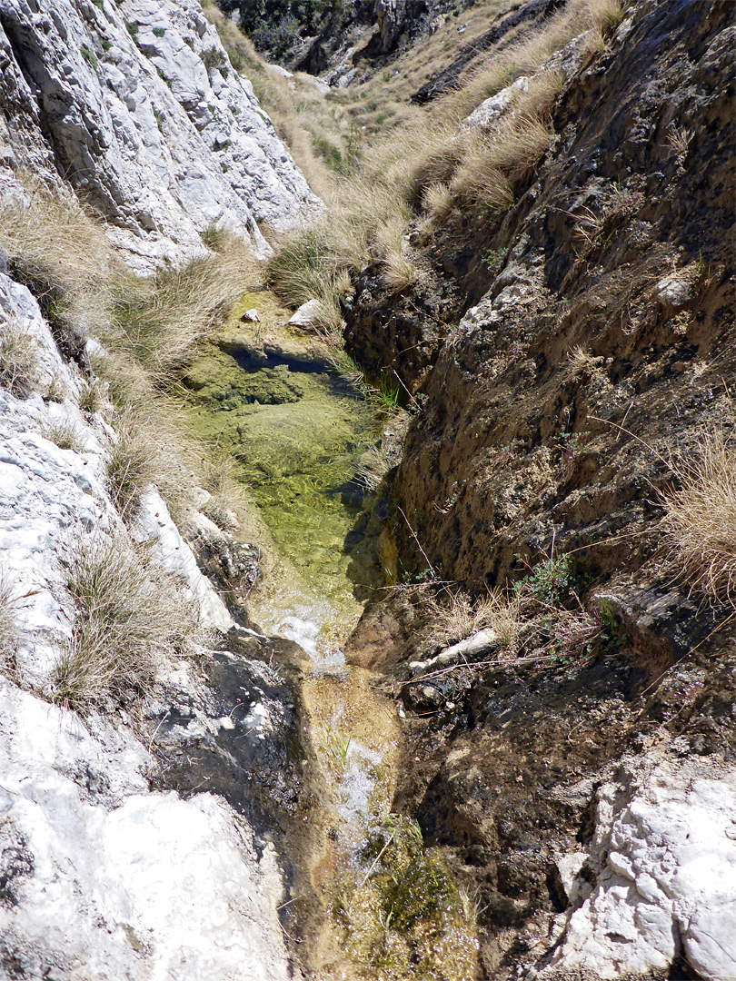 Pool and narrows