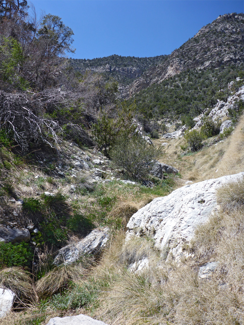 Spring Mountains