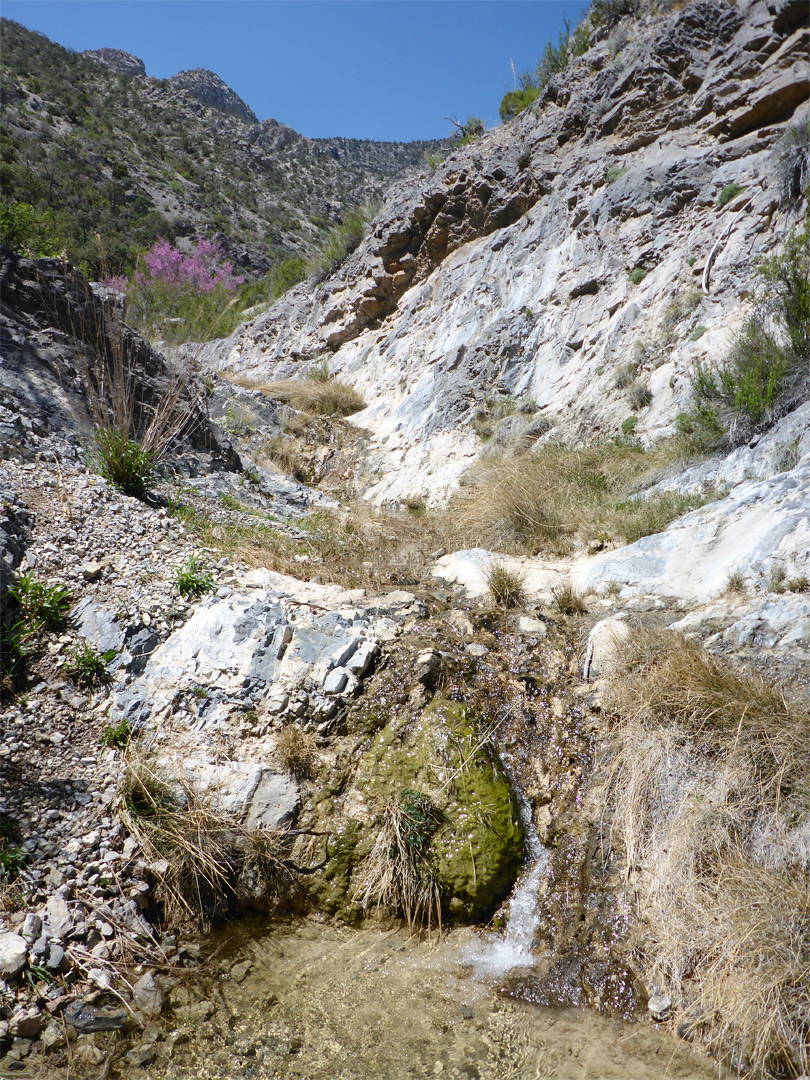 Grey limestone