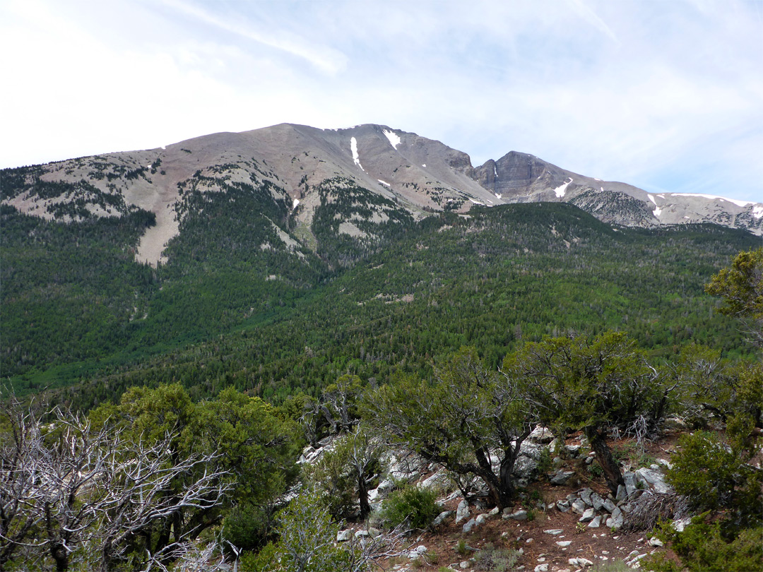 Mather Overlook