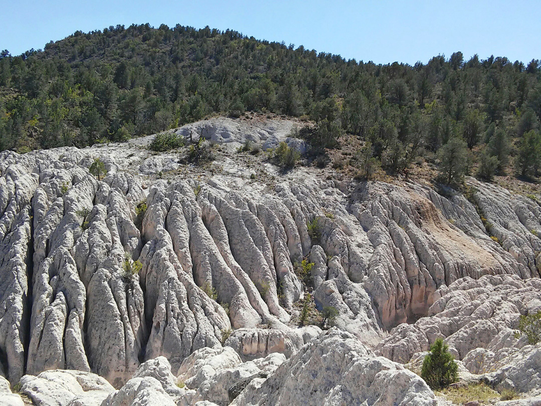 Eroded tuff