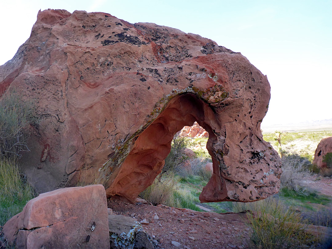 Elephant rock