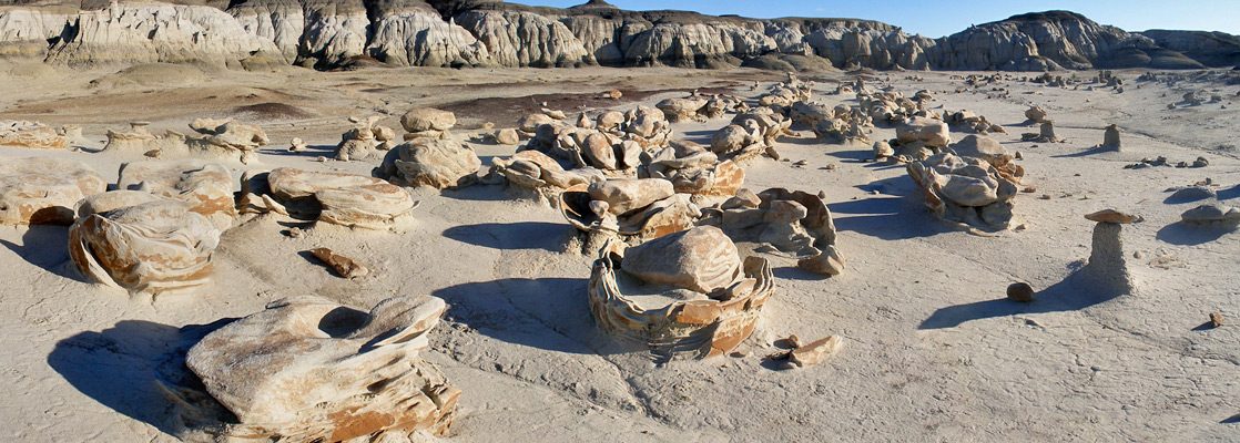 Bisti Badlands