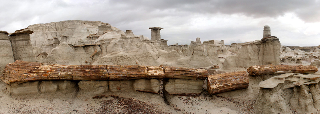 Bisti hoodoos and a long petrified log