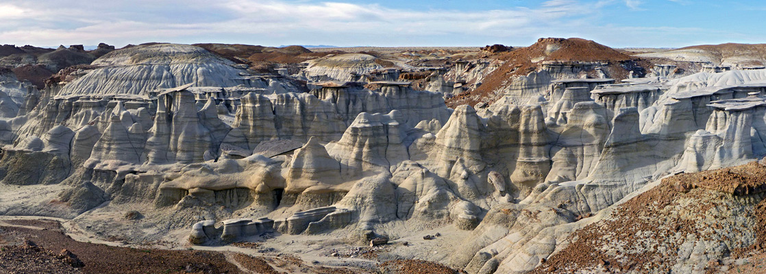 Ravine with hoodoos and petrified wood