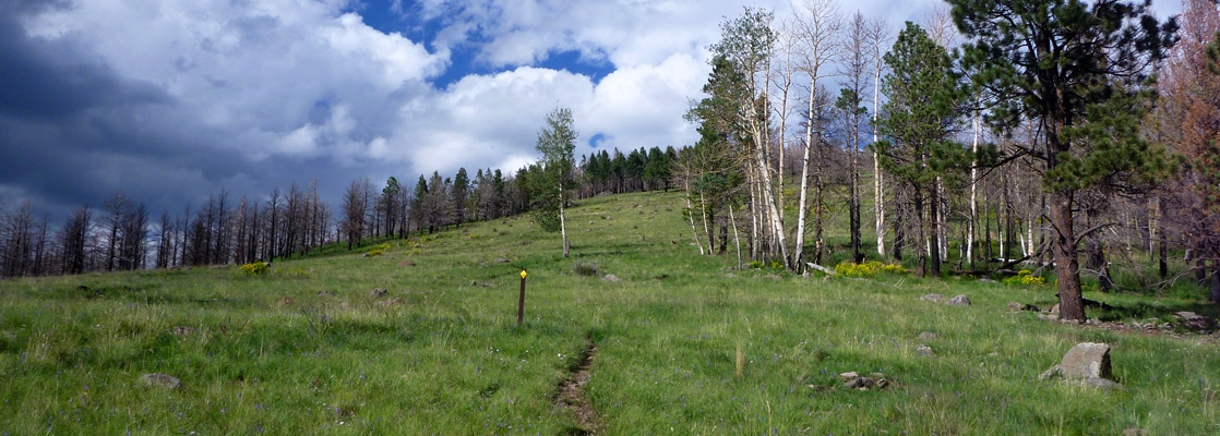 Half way along the Cerro Grande Trail