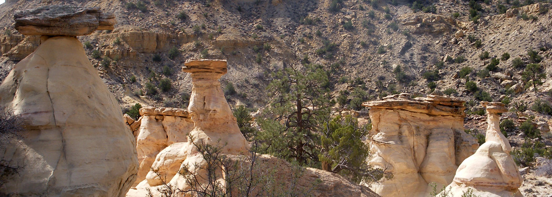 Hoodoo garden at Ojito