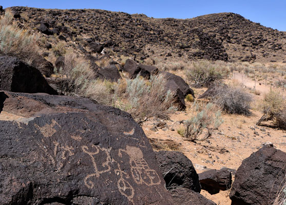 Bushes and boulders