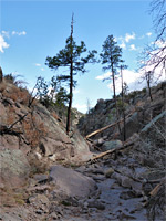 Rocky streambed