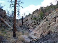 West fork, Alamo Canyon