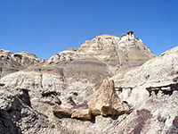 Badlands and a petrified tree