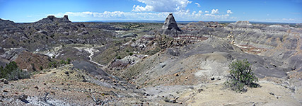 Ceja Pelon Mesa