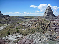 Ceja Pelon Mesa