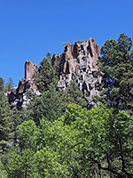 Trees below Battleship Rock