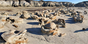 New Mexico landscapes