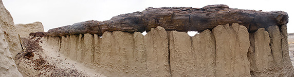 Bisti Wilderness Area