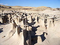 Hoodoo garden