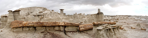 Hoodoos and a petrified log