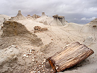 Petrified log and hoodoos