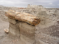 Petrified log hoodoo