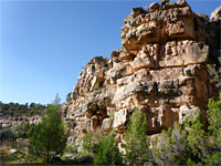 Cliff and trees