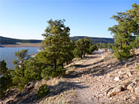 Shoreline track