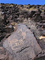 Two petroglyphs