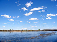 Clouds above the water