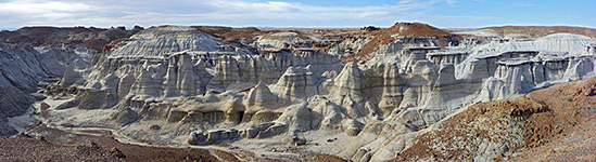 Ravine with hoodoos and petrified wood