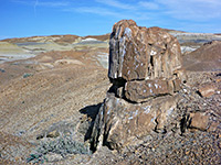 Petrified tree stump