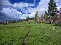 Cerro Grande Trail