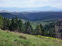 Grassy slopes