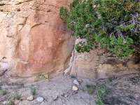 Varied petroglyphs