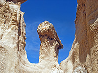 Petrified log hoodoo