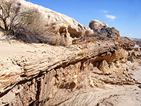 Petrified tree trunk