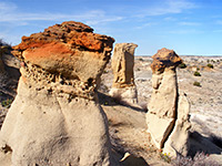 Red-topped pinnacle