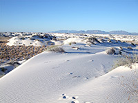 Edge of the dunes