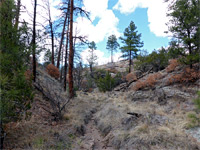 East fork, Lummis Canyon