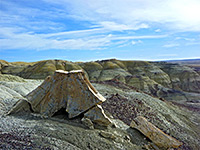 Petrified stump and yellow badlands