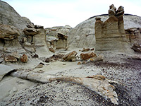 Petrified trunk